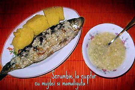 yamy - 249085139769966207099728904966n.jpg